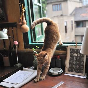 看看国产女人操逼视频
